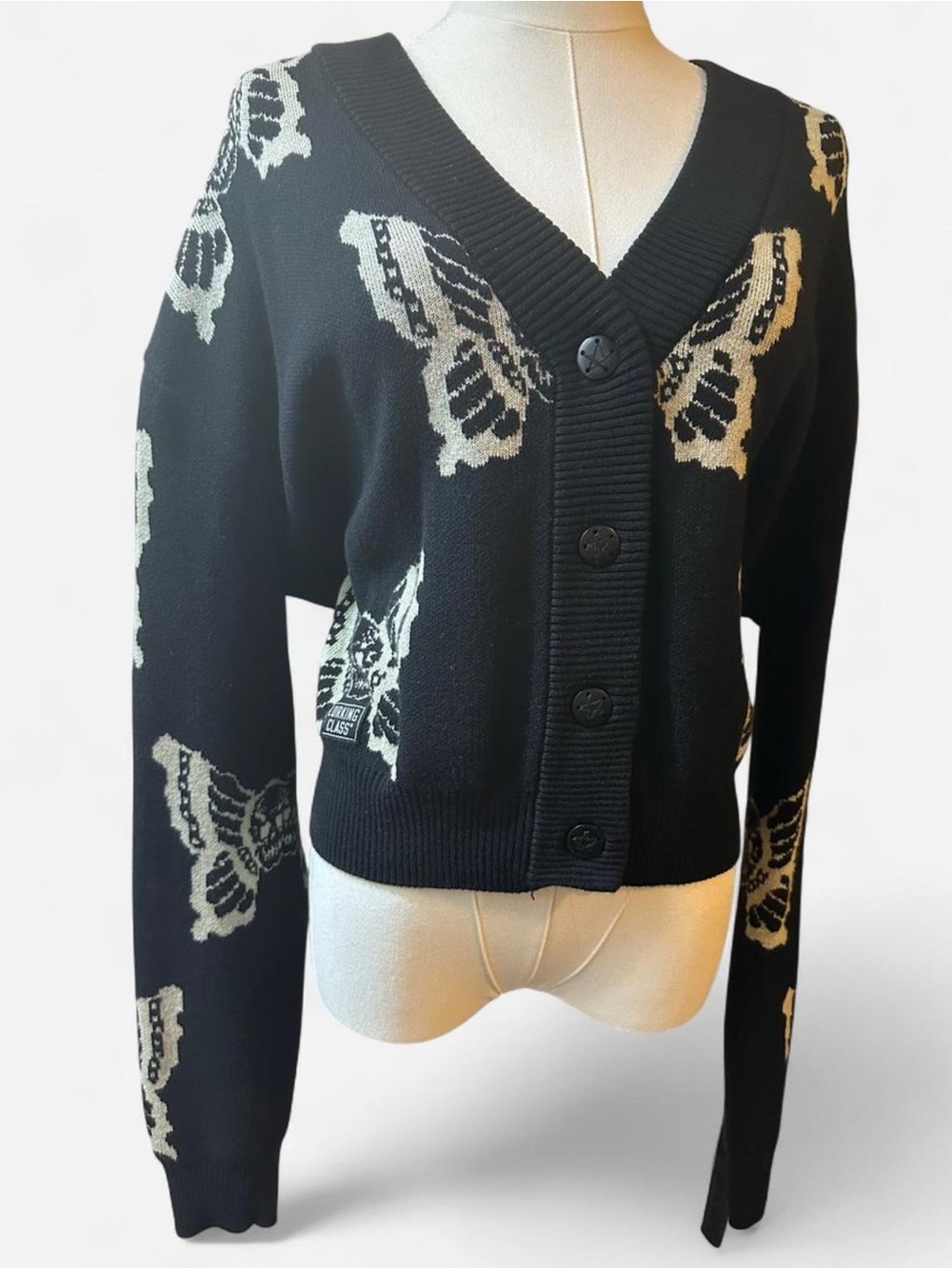 Lurking Class Cardigan Sweater